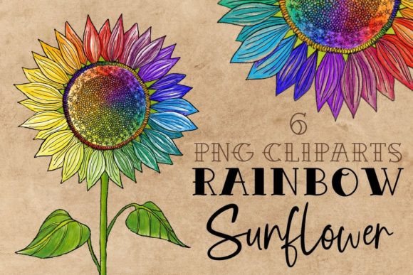 Download Gay Pride Rainbow Cute Sunflower Drawing - Pride rainbow Collection