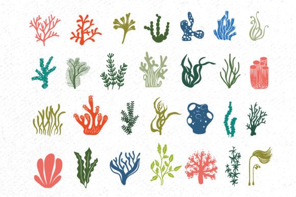 Download Coral Svg Bundle, Seaweed Svg, Coral Svg - Bundle Collection