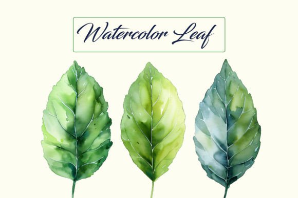 Download 3 Watercolor Leaves Bundle - Bundle Collection