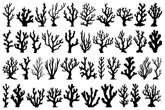 Download Coral SVG Bundle - Bundle Collection